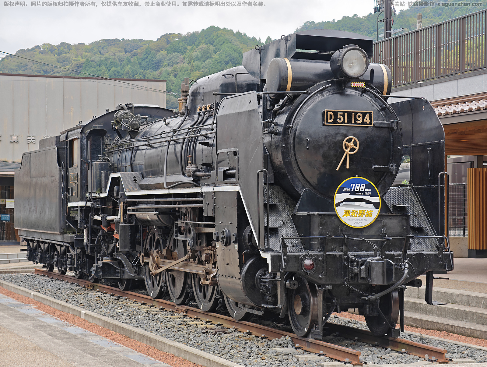 D51���������� D51-194 ���Ұվ��