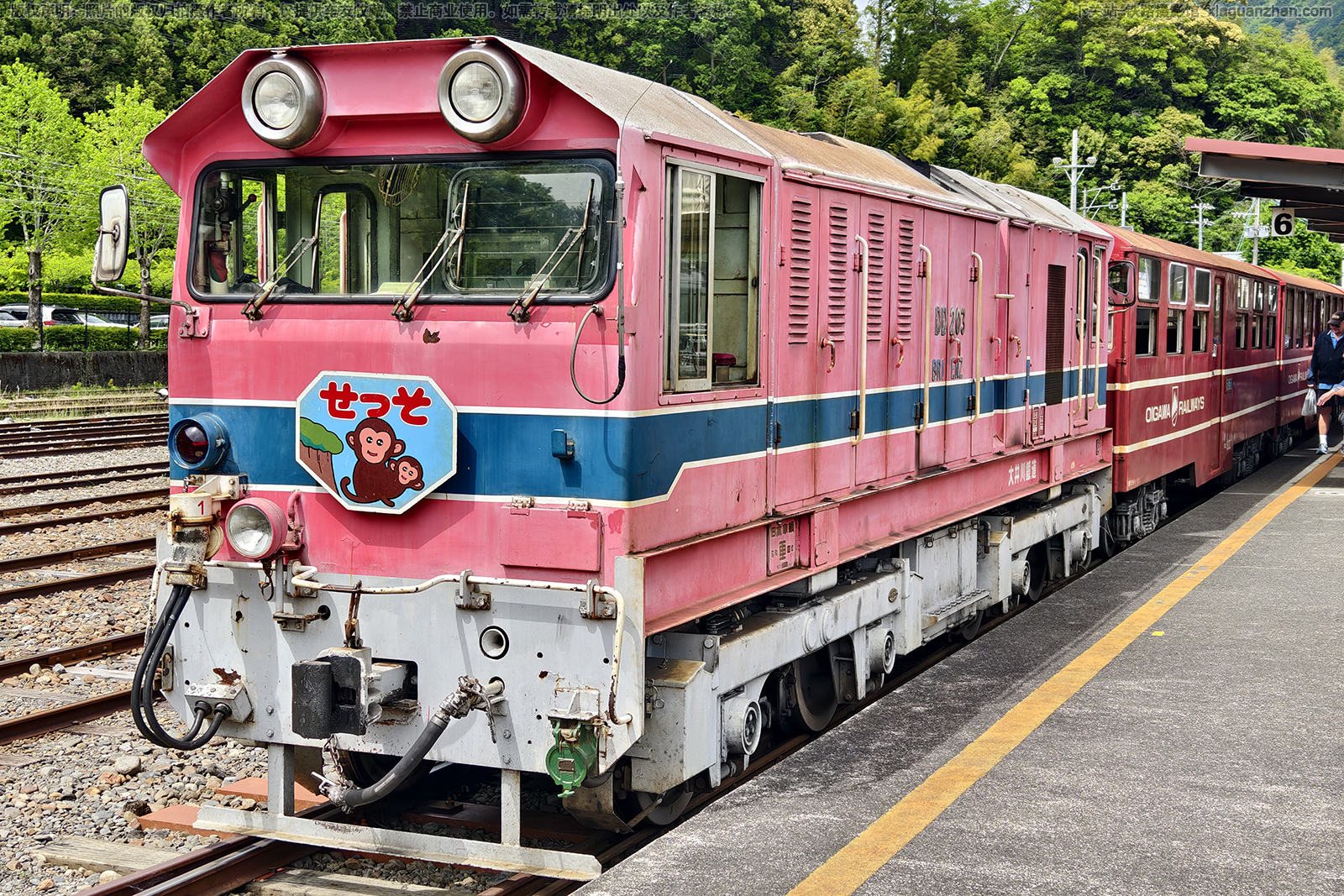 DD20-203 大井川铁道 DD20-203 大井川铁道
