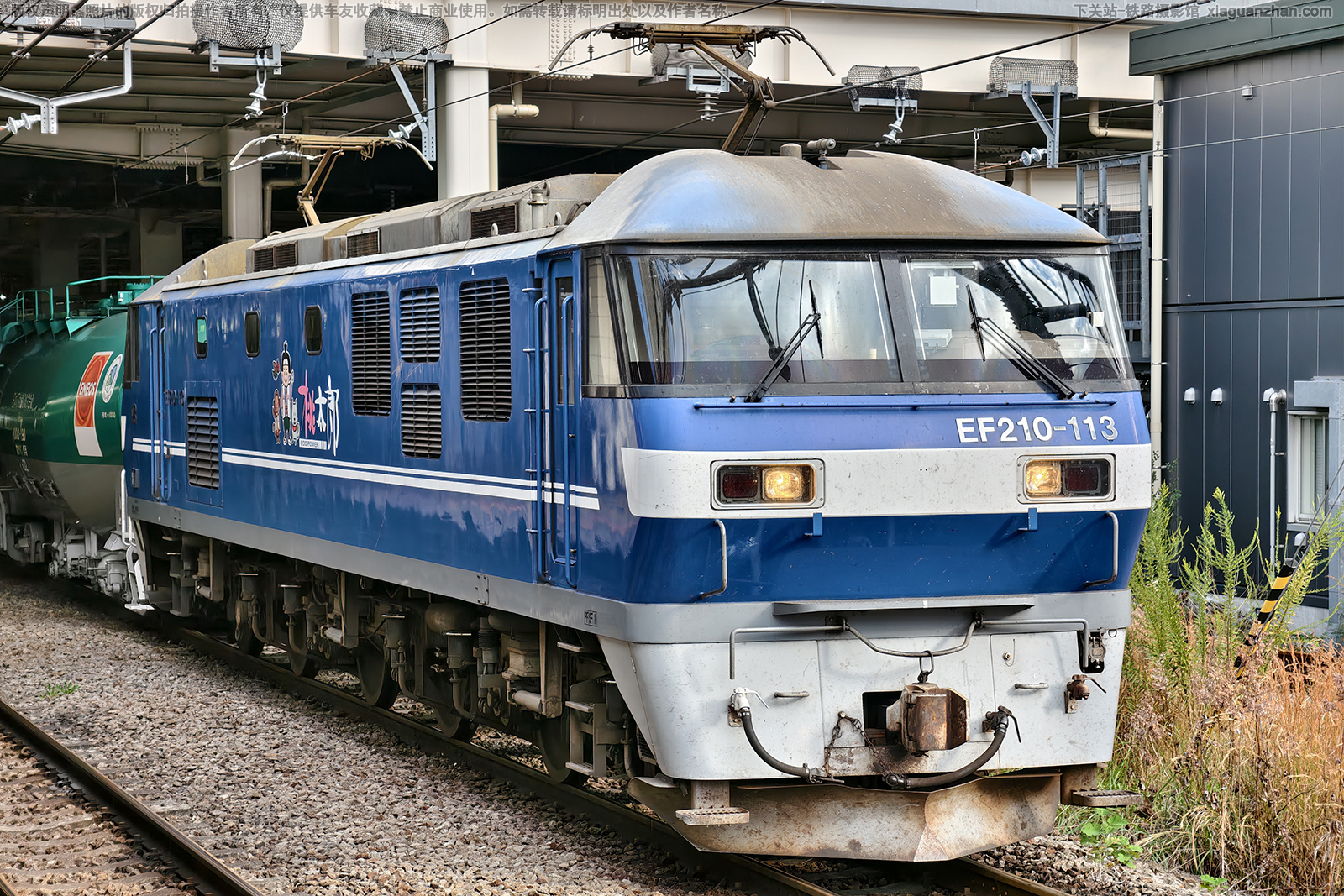 EF210-113 �º׼�������